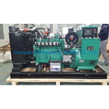 Ly6bg80kw Hochwertige Eapp Gas Generator Set